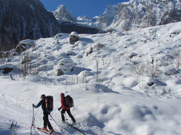 Auf der Forststraße unter der Schönalm