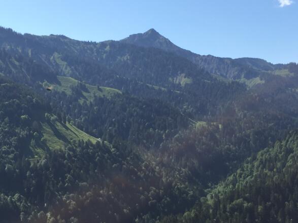 Blick zum Hohen Freschen