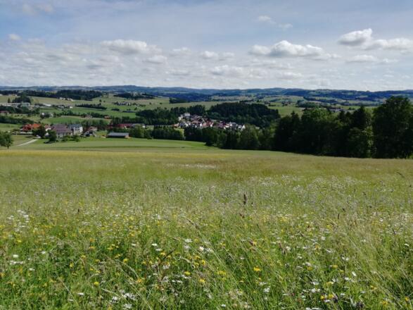 Ausblick am höchsten Punkt der Tour in Richtung Nordosten