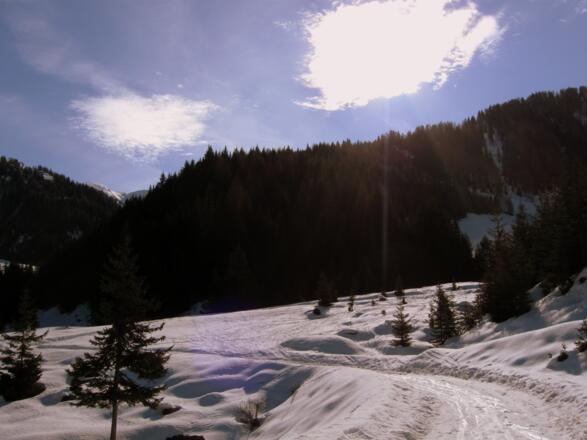 Die flachen Almfächen der Weirichalm.