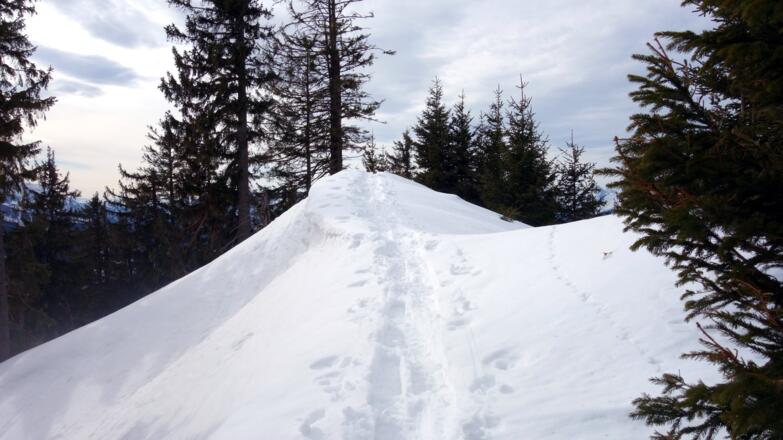 1425m am Gipfelgrat