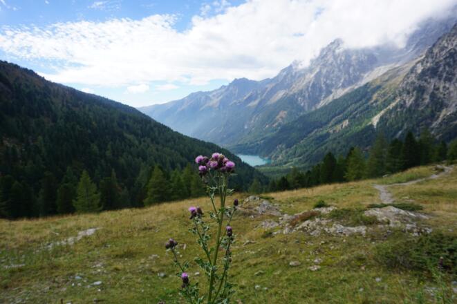 Antholzer See im Hintergrund