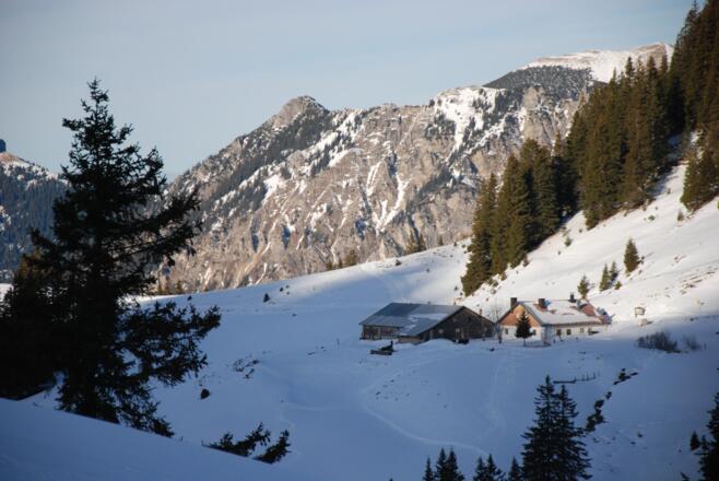 Nesselwängler Edenalpe