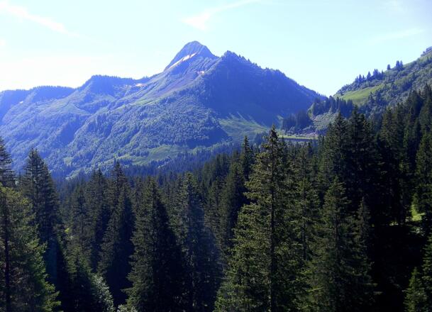 Zafernhorn von Damüls gesehen