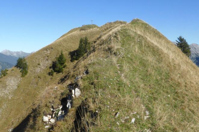Kelmer Spitze
