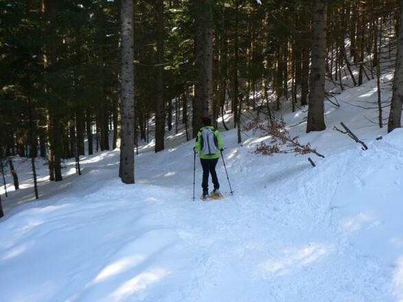 Durch einen Hohlweg geht es hinunter nach Leopolden (Innerrosenau)