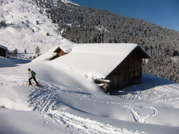 ... die Studlalm auf 1600 m.