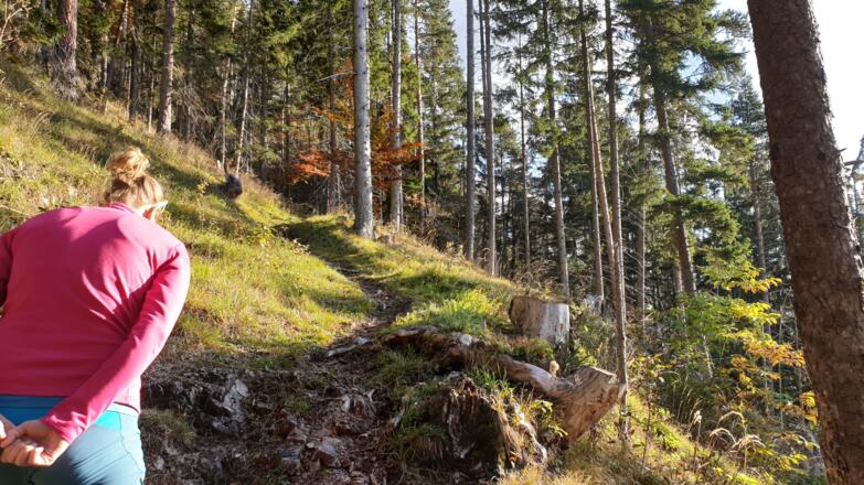Start über einfachen Steig gleich steil den Wald hinauf