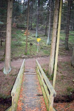 Pionerbrücke am Ende des Steiges. Achtung, die Brücke ist Sanierungsbedürftig, einge Balken sind morsch!