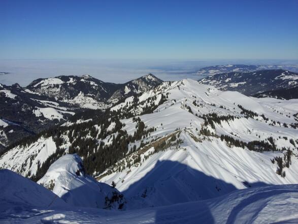 Blick in Richtung Pfänder und Bodensee.