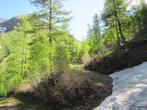 Aufstieg im Teischnitzgraben