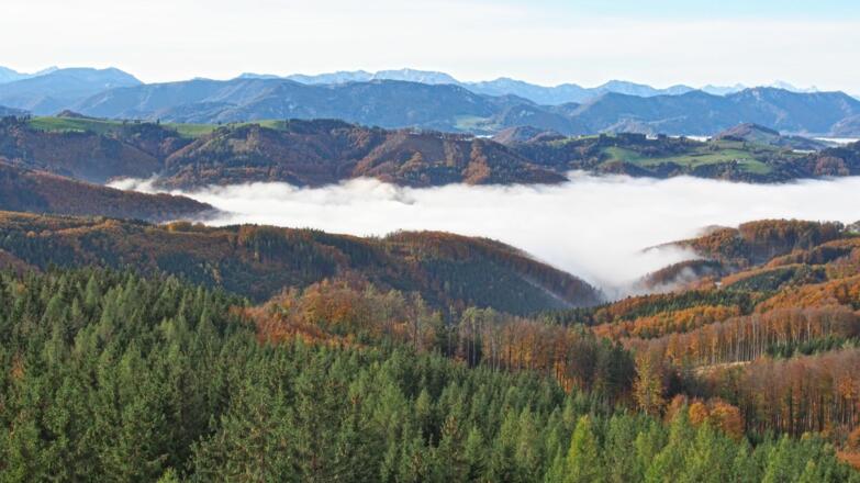 Ausblick von der Dambergwarte Richtung Sengsengebirge auf die vor uns liegende Strecke