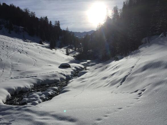 Das Bachbett, welches auf einem Fahrweg kurz nach der Hütte 2 mal gequert wird
