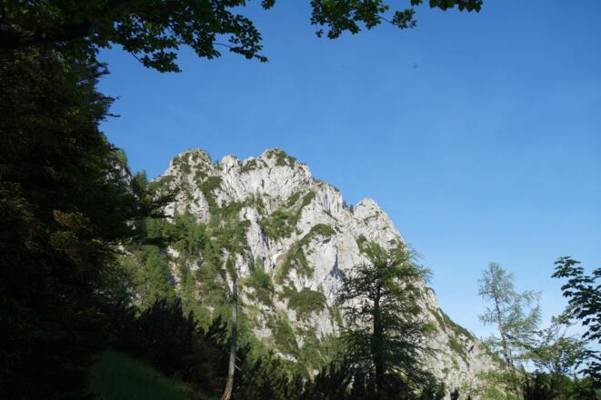 Falkenmauer in Sicht um 1290m