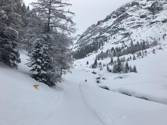Nach dem Malchbachlift links vom Malchbach bleiben