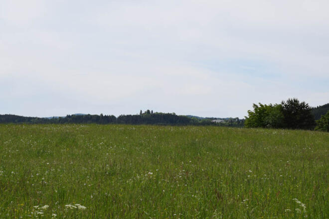 Ausblick nach St. Peter