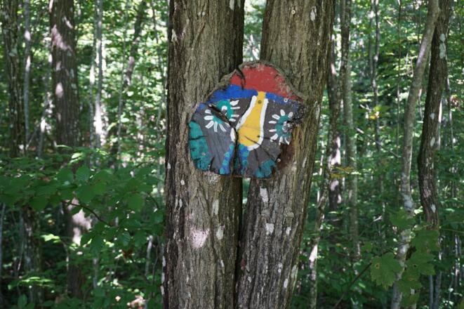 ... ebenso bunte Baumscheibengesichter