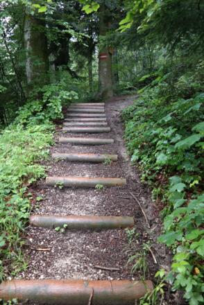 Künstliche Stufen nach der Querung einer Asphaltstraße.