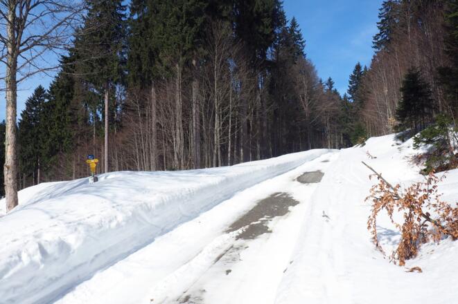 Geräumte Forststraße 1158m erreicht, links.