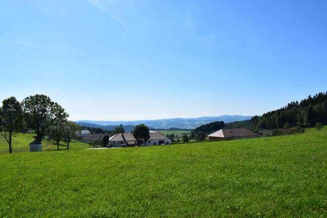 Bauernhöfe in Obergrünbach