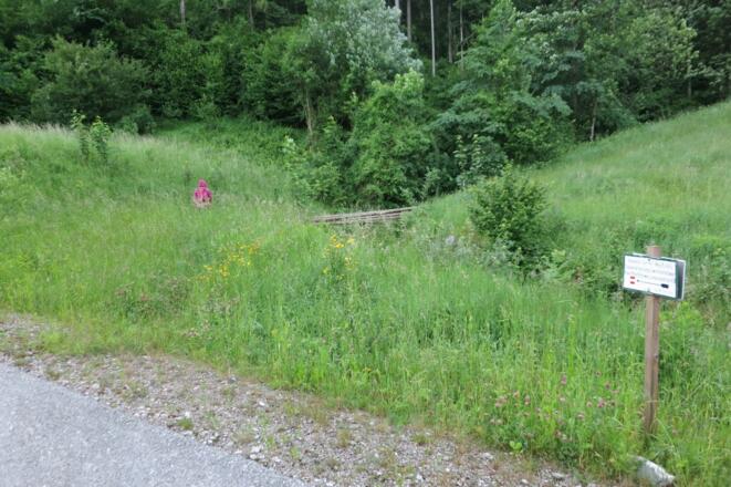 Unter der Autobahn hindurch gehts auf dem Wanderweg 465 weiter