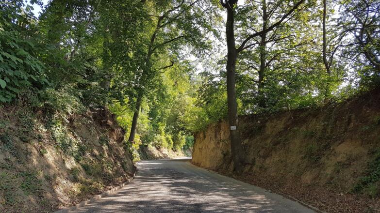 Der Hohlweg macht seinem Namen alle Ehre!