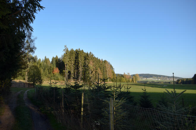 Nach dem Aufstieg aus dem Thurytal