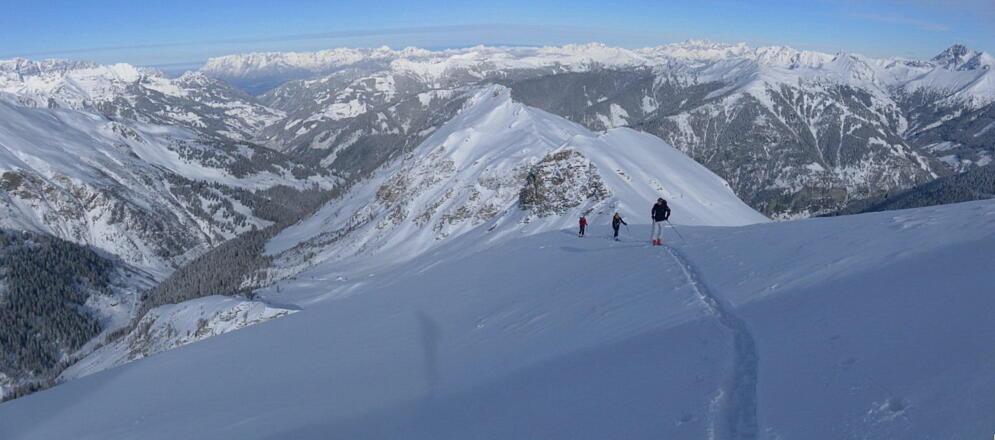 Hochkönig, Tennengebirge und Dachstein hinter dem Arappkopf