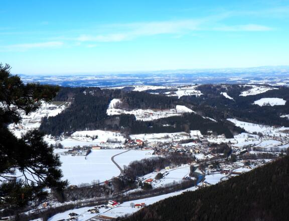 Blick in's Alpenvorland