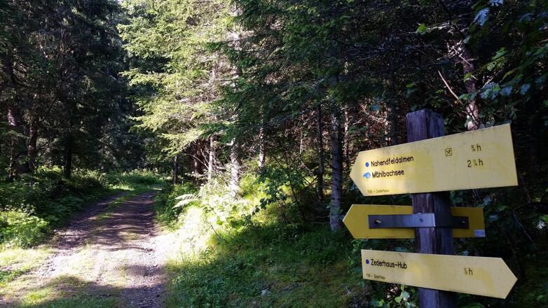 Folgen Sie der Wegmarkierung