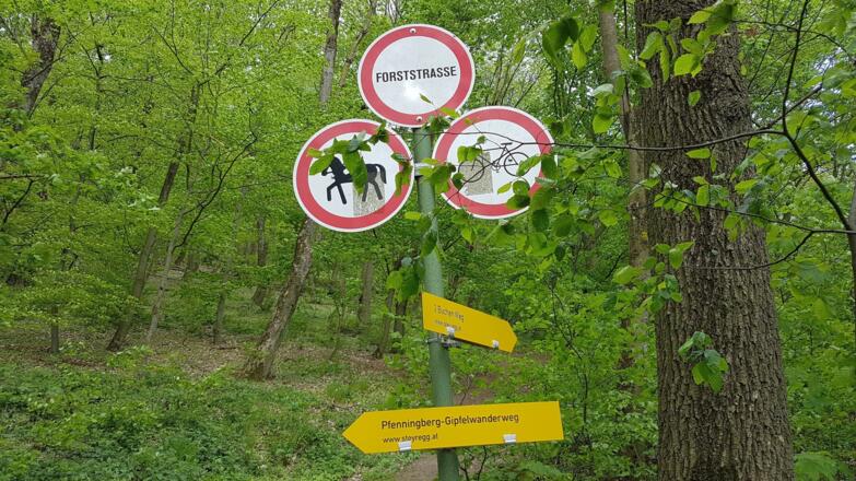 Nach der Fernsehstation rechts rauf