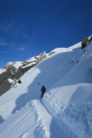Die Querung unter die Nadel