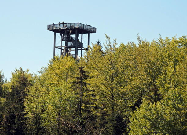 Die Göblbergwarte in Sicht.