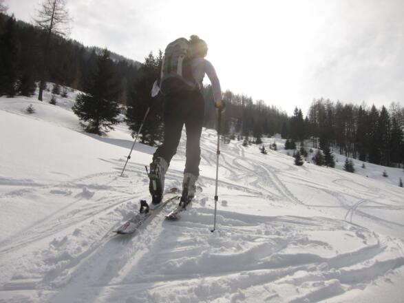 Über die Wiesen ansteigend in Richtung Inselsbacheralm