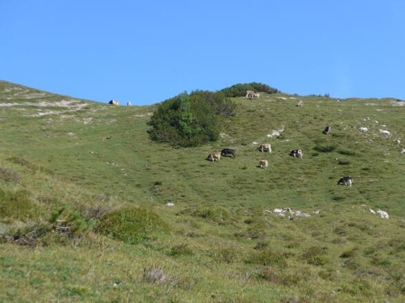 Östliches Lachenjoch