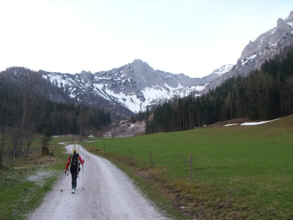 Die schon apere Forststrasse auf dem Weg zum Winklerkar.