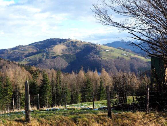 Gmundnerberg vom Waldrand (760m)