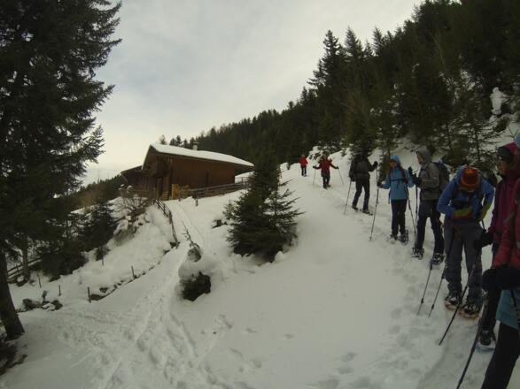Der Abstieg erfolgte über die Forststraße zur Stöfflaste.