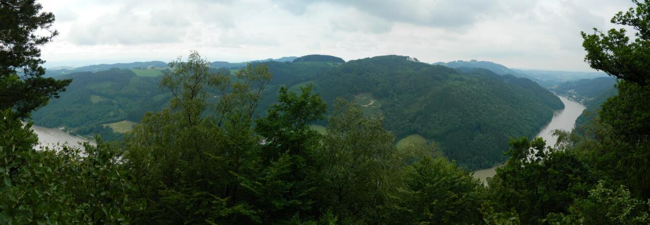 Panorama vom Predigtstuhl