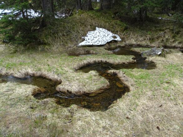 meandern gemächlich..