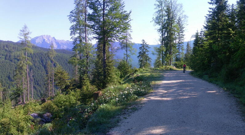Gamsfeldblick