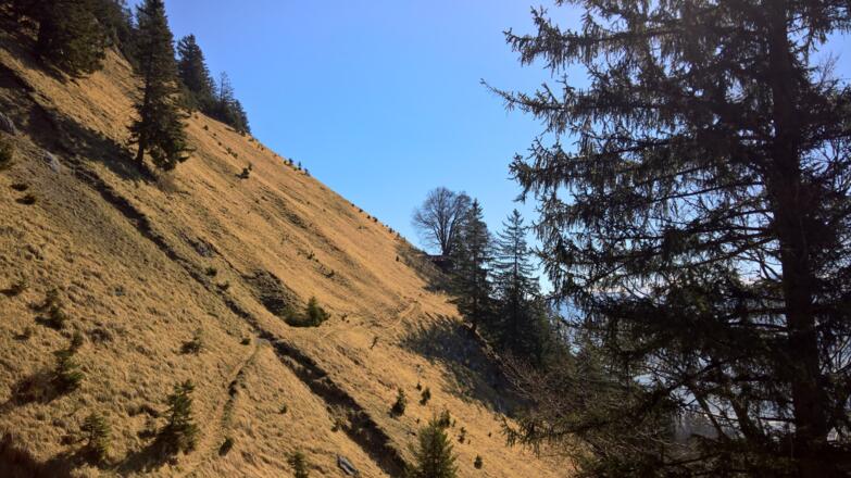 immer entlang der Thaurer Mähder