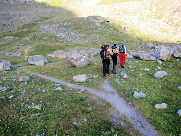 Im Talschluss gabelt sich der Weg - wir halten uns rechts und folgen der nicht zu übersehenden Aufschrift &quot;Alt&quot;. Gemeint ist der alte Weg, der früher über den markanten Moränenrücken zum Alpeiner Ferner führte.