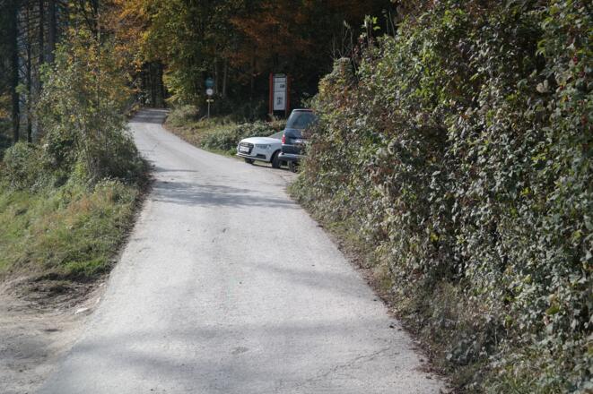 Der Ausgangspunkt. Hier trifft von rechts eine Forststraße auf die Talstraße.