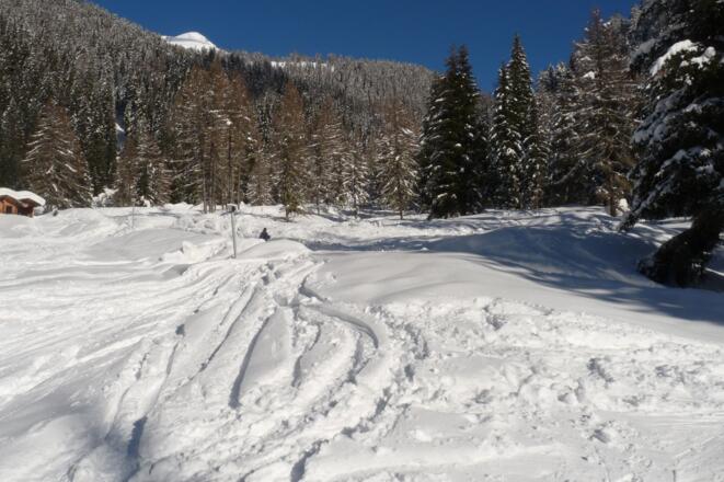 Teilweise über die Rodelbahn, dann wieder über freie Hänge erreichen wir zuletzt den Ausgangspunkt.