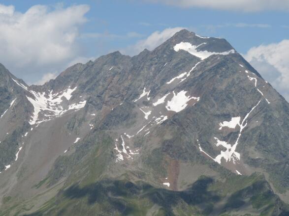 Auch der Habicht zeigt sich in seiner ganzen Schönheit.