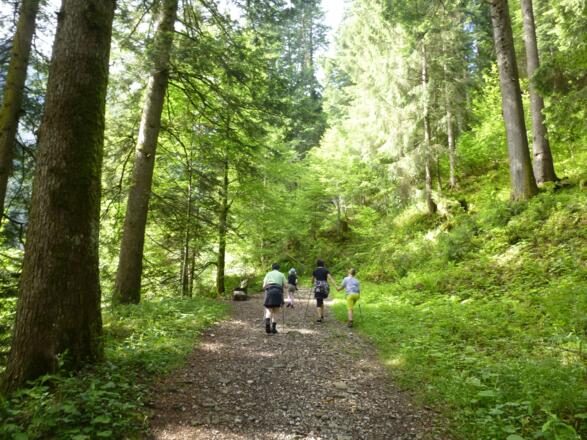 Waldiger Aufstieg zum Bodenvorsäß