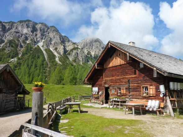 Tauernkarleitenalm