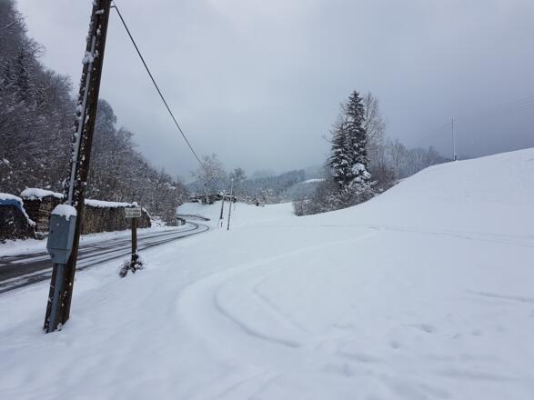 Entlang dem Güterweg Peilstein führen die ersten Meter