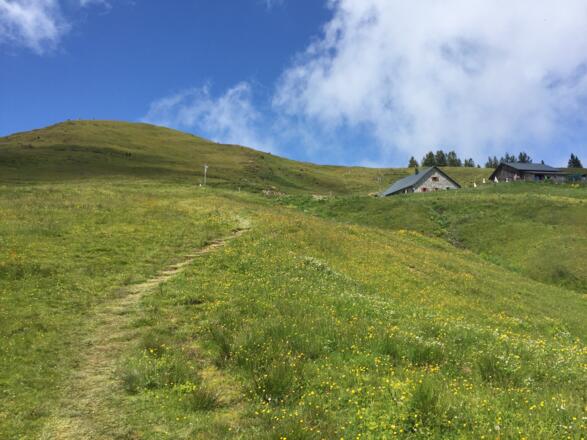 Kugelalpe knapp unterhalb des Gipfels